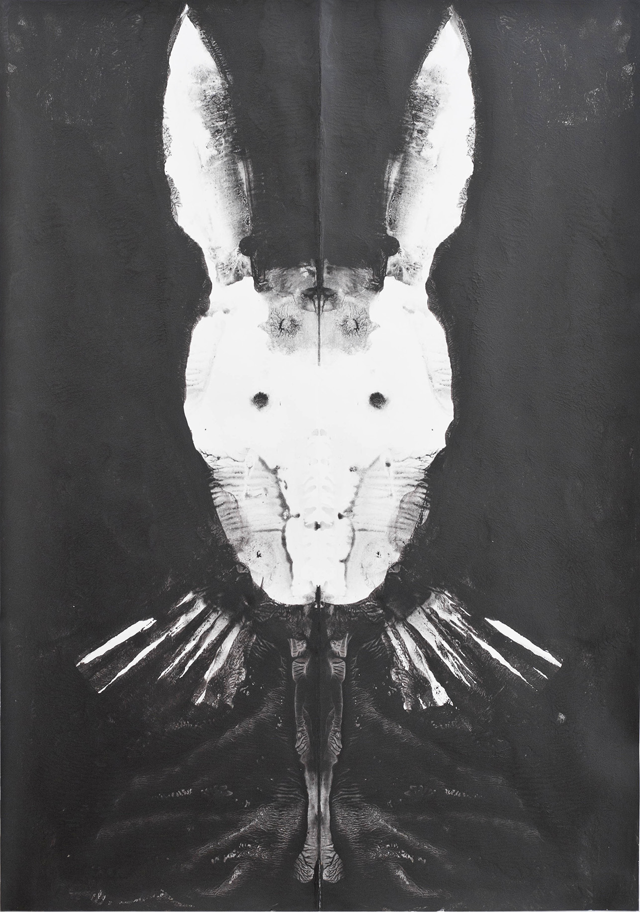 Rabbit R